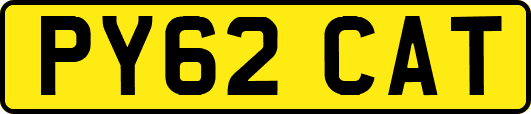 PY62CAT
