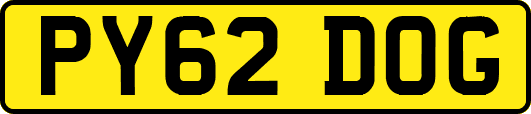 PY62DOG