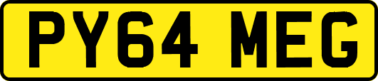 PY64MEG
