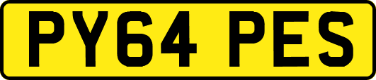 PY64PES