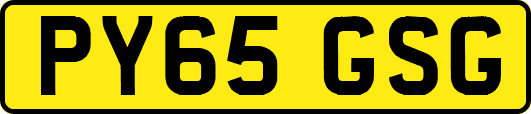 PY65GSG