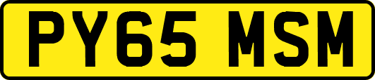 PY65MSM