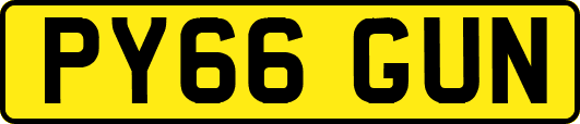 PY66GUN
