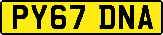 PY67DNA