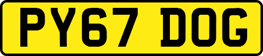 PY67DOG