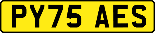PY75AES