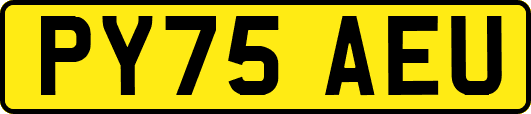 PY75AEU