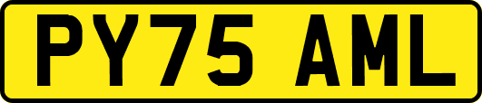 PY75AML