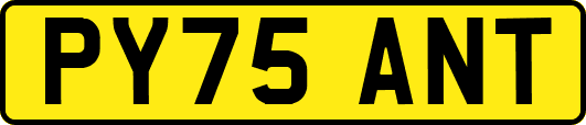 PY75ANT