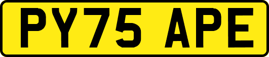 PY75APE
