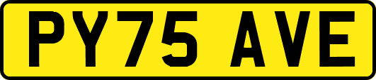 PY75AVE