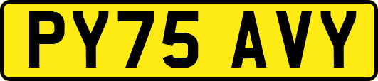 PY75AVY
