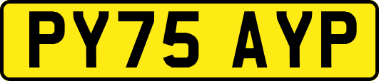 PY75AYP