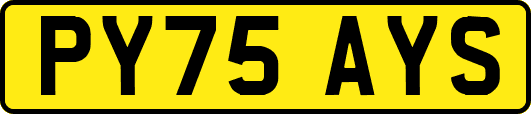 PY75AYS