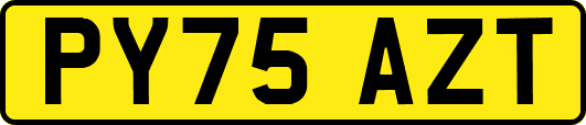 PY75AZT