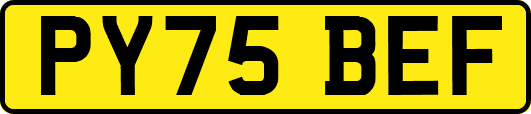 PY75BEF
