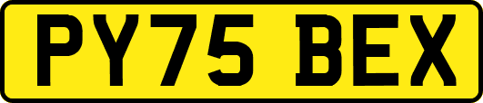 PY75BEX