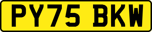 PY75BKW