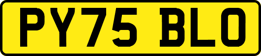 PY75BLO