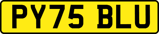 PY75BLU