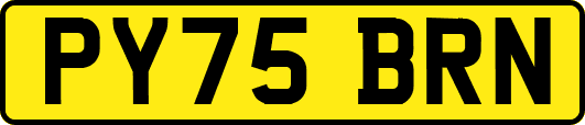 PY75BRN