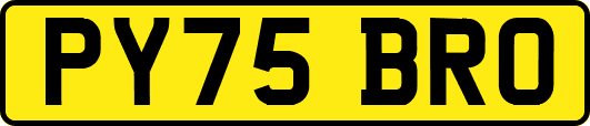 PY75BRO