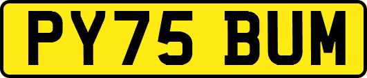PY75BUM