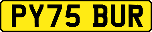 PY75BUR