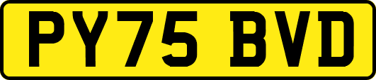 PY75BVD