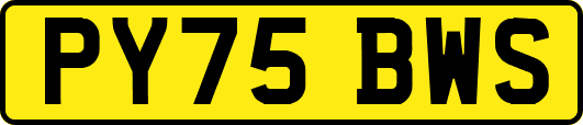 PY75BWS