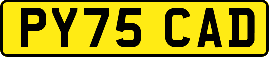 PY75CAD