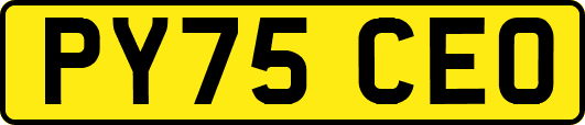 PY75CEO
