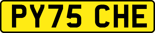 PY75CHE