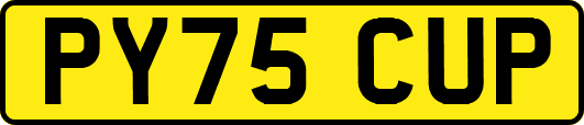 PY75CUP