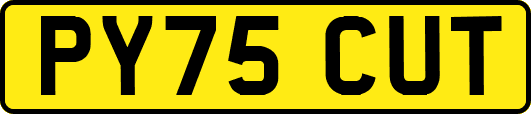 PY75CUT