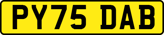 PY75DAB