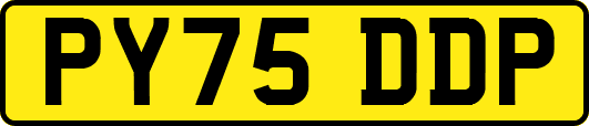 PY75DDP