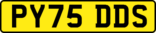 PY75DDS