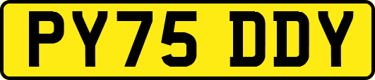 PY75DDY