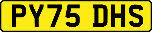 PY75DHS