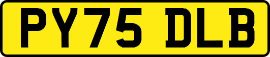 PY75DLB
