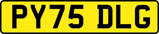 PY75DLG