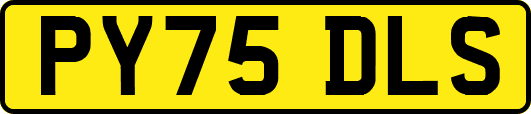PY75DLS