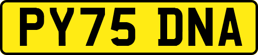 PY75DNA
