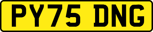 PY75DNG