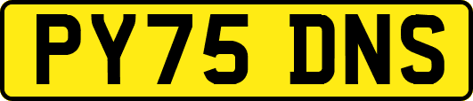 PY75DNS