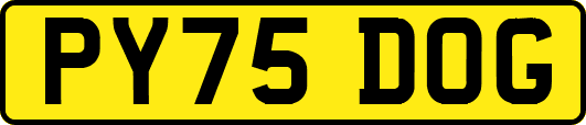 PY75DOG