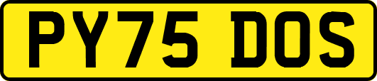 PY75DOS