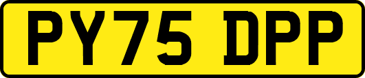 PY75DPP