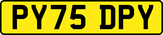 PY75DPY